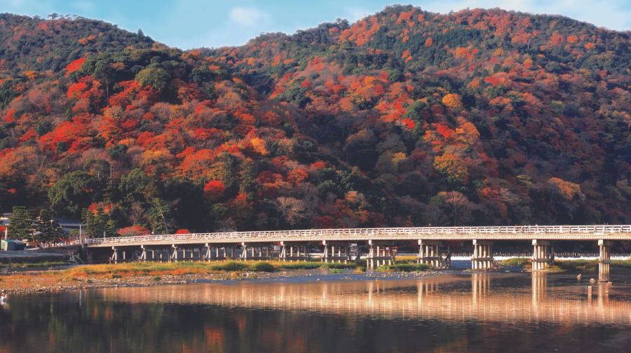 阪急全線1日乘車券