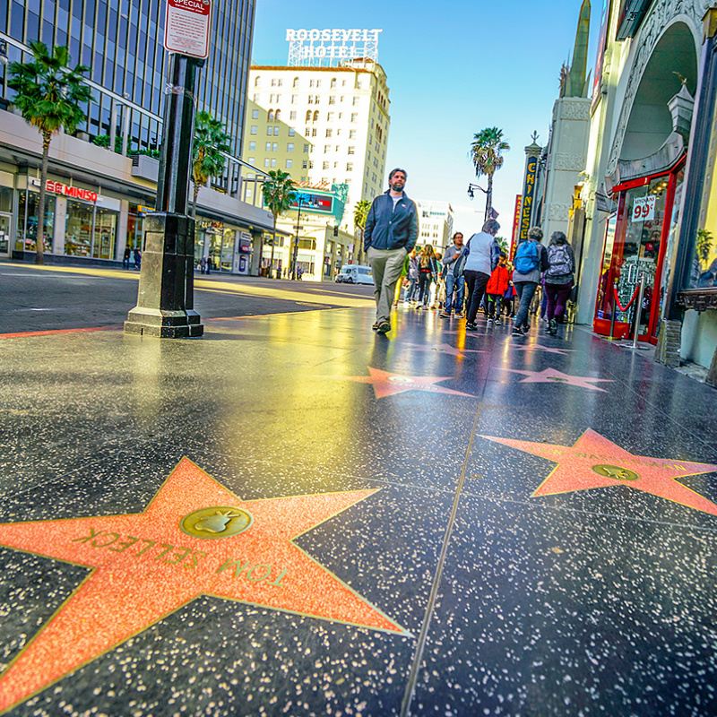 Tour di un giorno a Los Angeles negli Stati Uniti [Hollywood Walk of Fame/Beverly Hills & Rodeo Drive]