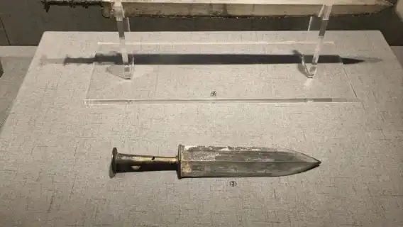 杭州博物館+2小時獨立包團人文講師解說服務(含預約入場門票)一日遊