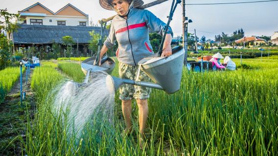 Bike and bite half-day guided tour