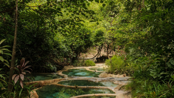 Phang NgaTravel Services