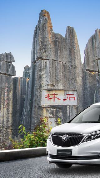 Stone Forest Scenic Area private chartered tour (departing from Kunming)