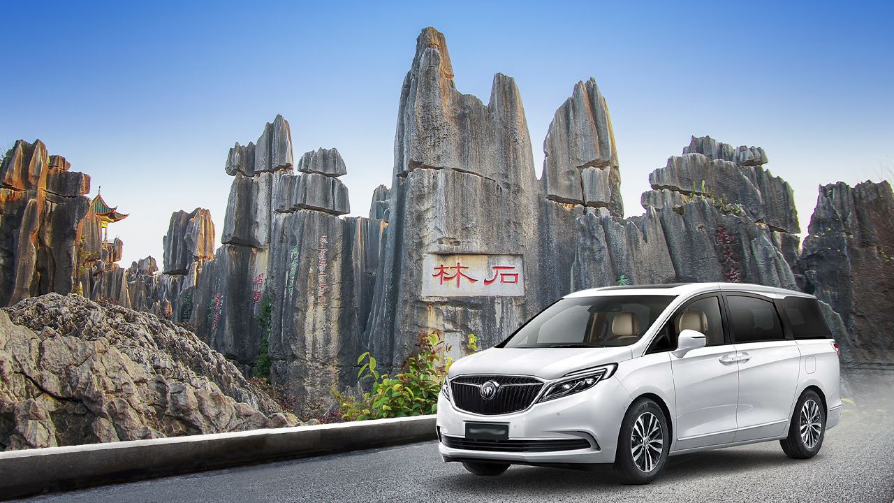 Stone Forest Scenic Area private chartered tour (departing from Kunming)