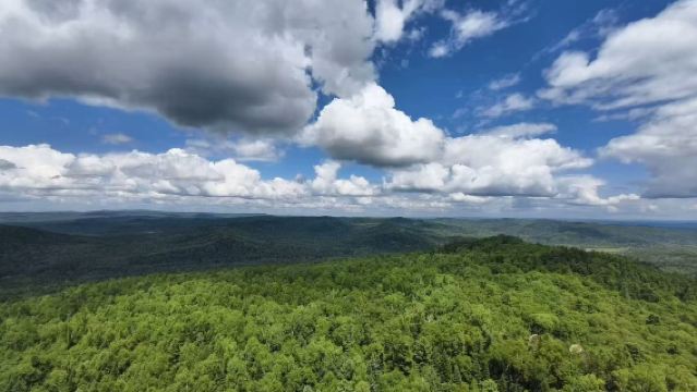 1-day tour to Wuying National Forest Park and Tangwang County Stone Forest