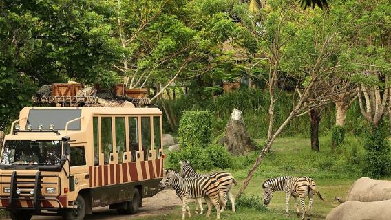 Bali: Safari, Ubud-Palast und Ubud-Markt – Tagestour | Hin- und Rücktransfer