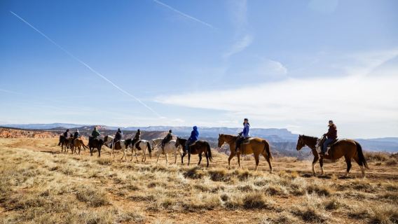 Bryce Canyon: passeggiata a cavallo nella foresta nazionale di Dixie