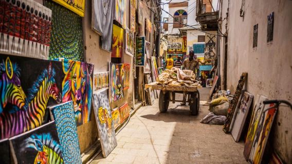 Tur jalan kaki di Zanzibar Stonetown Highlight