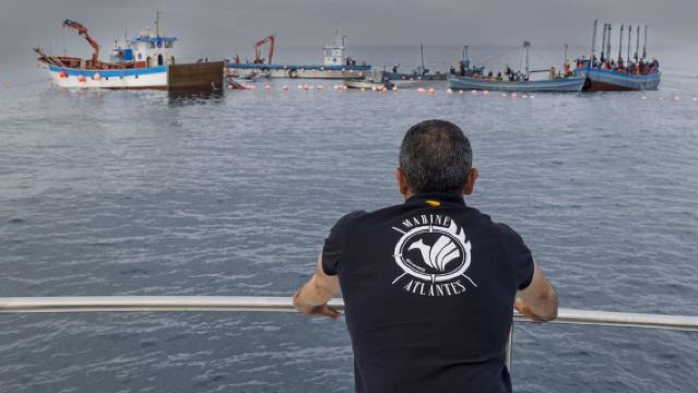 Barbate: Excursión en barco por el Parque Natural de La Breña y el Cabo Trafalgar