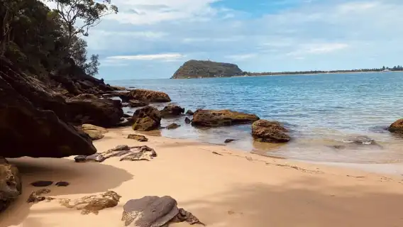 Sydney: Ku-ring-gai National Park Hike with swim and picnic