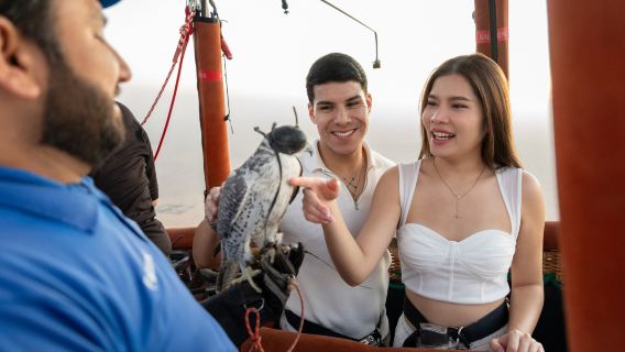 Tour in mongolfiera premium all'alba con esclusivo spettacolo di falconeria a bordo, colazione, cammello e trasferimento