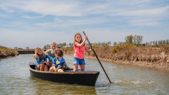 Amposta: entrada al Delta de MónNatura y visita guiada