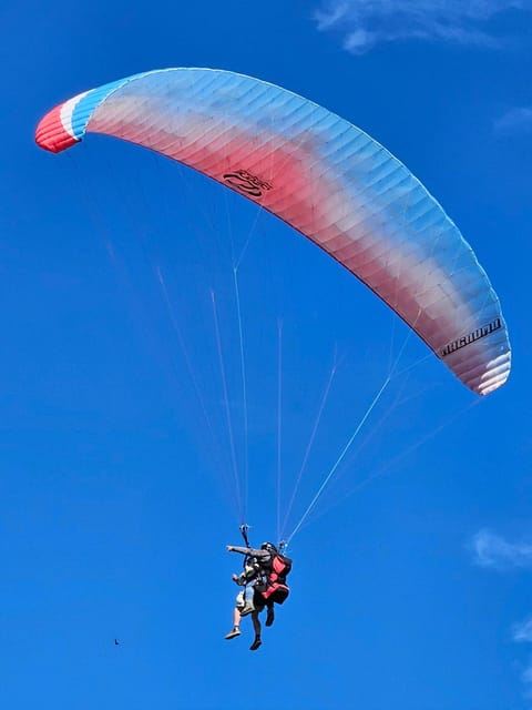 Città del Capo: avventura in parapendio in tandem con trasferimenti