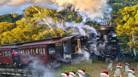 【官方直簽】墨爾本菲利普島+普芬比利蒸汽火車一日遊#企鵝島