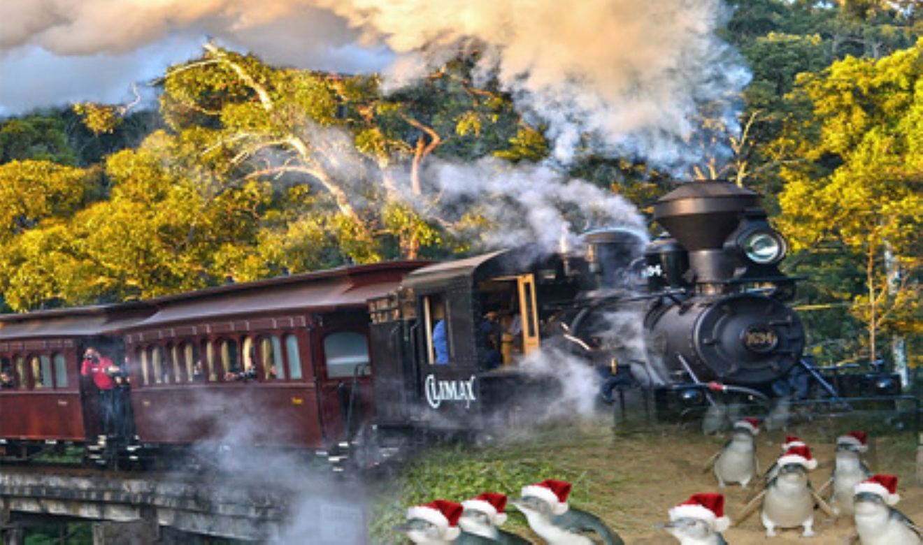 【官方直簽】墨爾本菲利普島+普芬比利蒸汽火車一日遊#企鵝島