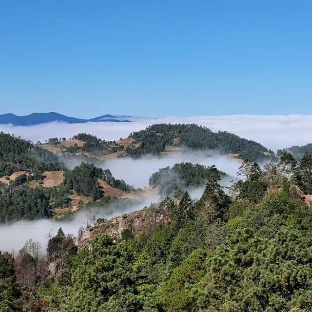 From Oaxaca: Sierra Norte Hike & Indigenous Village Full-Day