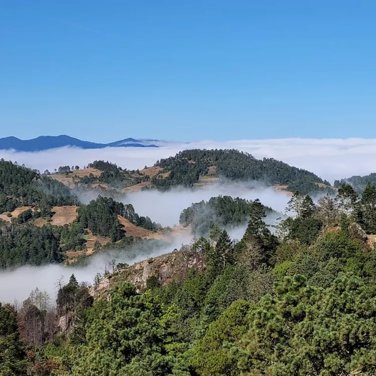 From Oaxaca: Sierra Norte Hike & Indigenous Village Full-Day