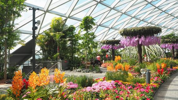 Jewel Changi Airport: Ticket für Heckenlabyrinth und Baumkronenpark