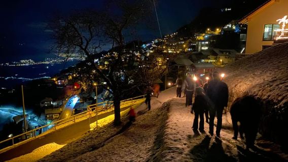 Triesenberg: passeggiata con i lama in montagna