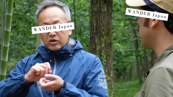 金沢プライベート/グループウォーキングツアー：地元と主要観光スポット