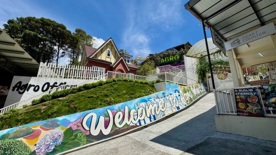 Dari Kuala Lumpur: Tur Terpandu ke Cameron Highlands dengan Makan Siang