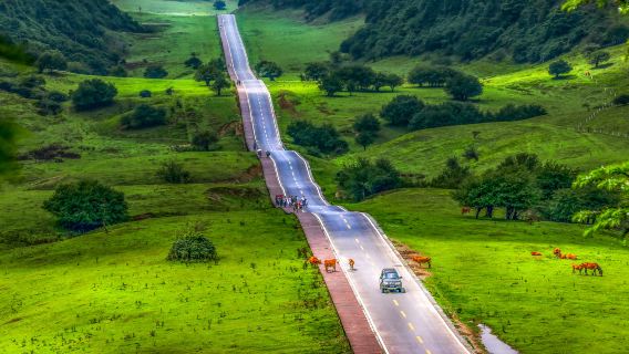 Wulong Three Natural Bridges + Fairy Mountain Forest Park: Independent Tour with English guide|Geological wonders tour