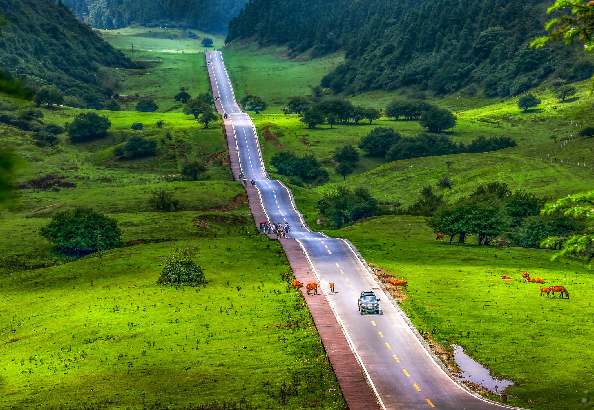 Three Natural Bridges + Fairy Mountain Forest Park: Private English Guided Tour|Geological Wonders Tour