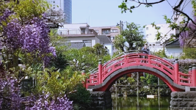 日本札幌+白色戀人公園+薄野一日遊/行程可調-可定制多日