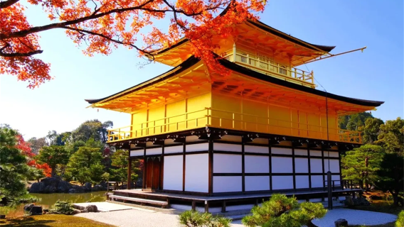 Kyoto Kiyomizu-dera Temple + Ninenzaka + Sannenzaka + Kinkaku-ji + Fushimi Inari Taisha one-day pilgrimage to explore Kyoto's millennium-old heritage and enjoy autumn foliage