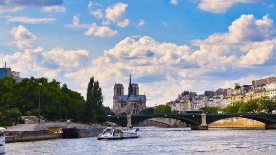 Parigi: crociera sulla Senna con spuntino/biglietto facoltativo per la Torre Eiffel