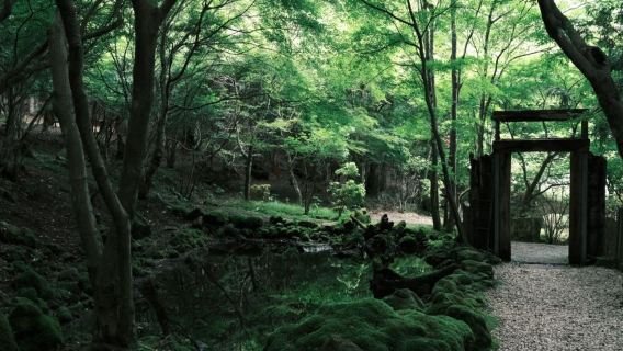 Adventure around Mount Fuji  and Lake Kawaguchiko - Full-Day Tour