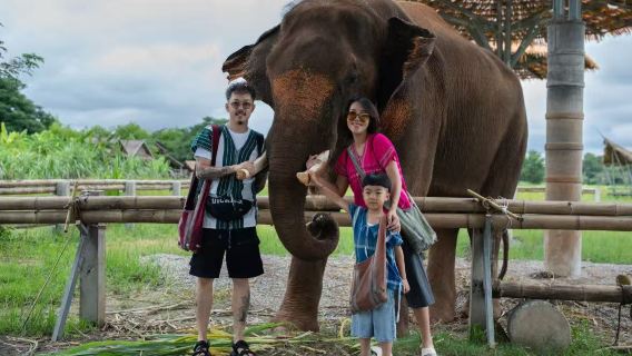 泰國清邁查普林大象營一日遊【Satian大象洗澡位置便利】