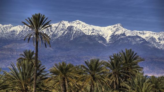 Khởi hành từ Agadir | Tham quan thành cổ Taroudant + ốc đảo Tiuout tour 1 ngày · Bao gồm bữa trưa và đưa đón