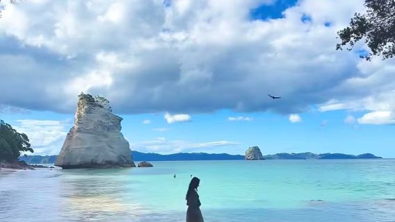 Tour VIP 1 ngày thuê xe riêng tại Auckland, Mission Bay, One Tree Hill và Bảo tàng Tưởng niệm Chiến tranh New Zealand