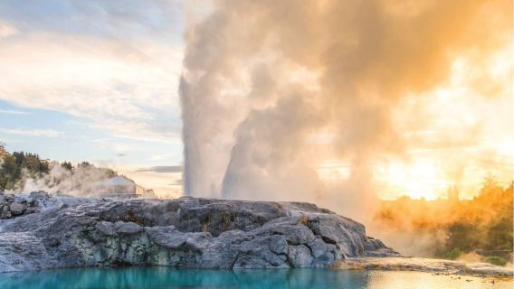 Waitomo and Rotorua 1-day tour (including Te Puia - Rotorua, NZ)