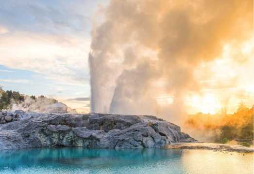 Waitomo and Rotorua 1-day tour (including Te Puia - Rotorua, NZ)