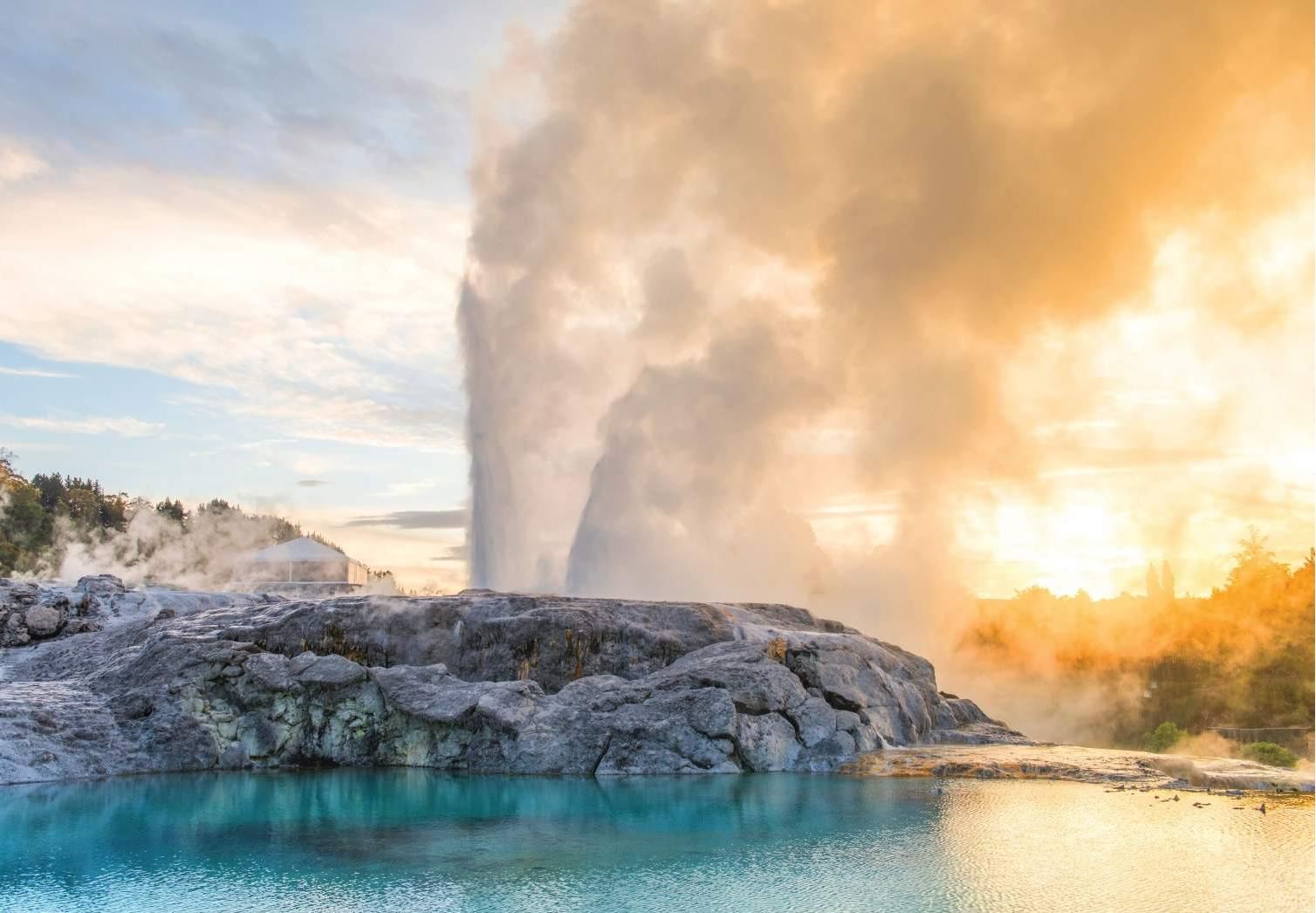 Waitomo and Rotorua 1-day tour (including Te Puia - Rotorua, NZ)