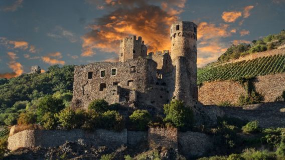 德國柏林無憂宮+新宮+荷蘭區+孔雀島+勃蘭登堡門一日遊