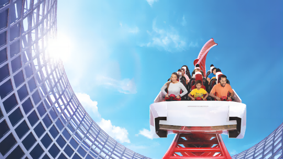 Fly From Dubai|Abu Dhabi Sheikh Zayed + Ferrari World Yas Island/Warner Bros. 1-day tour