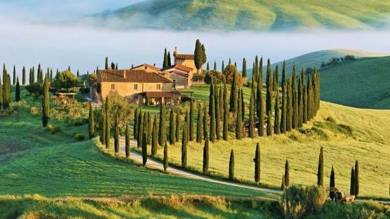 Private Chartered Tour Across Italy [Custom Itinerary|Chinese & English Service|Comfortable Travel