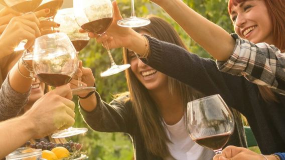 Yarra Valley & Dandenong Ranges: Day Tour from Melbourne + Lunch