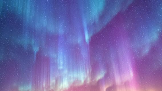 Однодневный тур в Мурманск "Охотники за северным сиянием" с поездкой в составе сборной группы в Териберку для наблюдения за северным сиянием