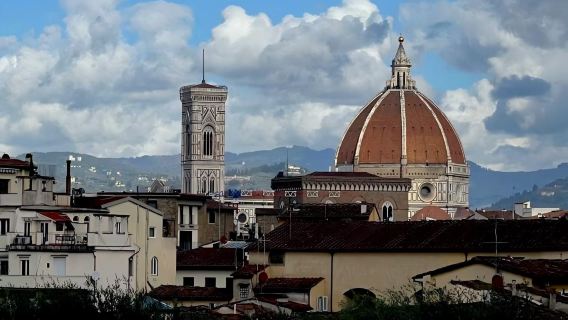 佛羅倫薩學院美術館+皮蒂宮+波波里花園+老橋