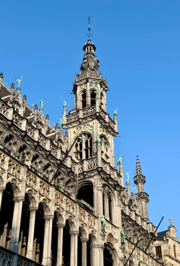 比利時境內/專業中文導遊/地陪/翻譯/景區導覽