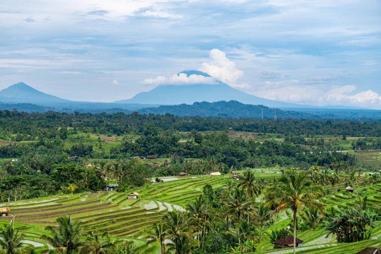 峇里島中部：Jatiluwih梯田+水神廟純玩一日遊