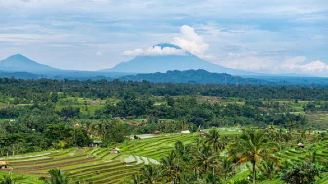 Bali Tengah: Lawatan Sehari Jatiluwih + Ulun Danu Beratan Temple
