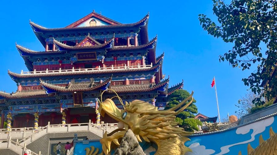 韶關新豐櫻花峪+東華禪寺+踏青賞花祈福一日遊|包車遊上門接送