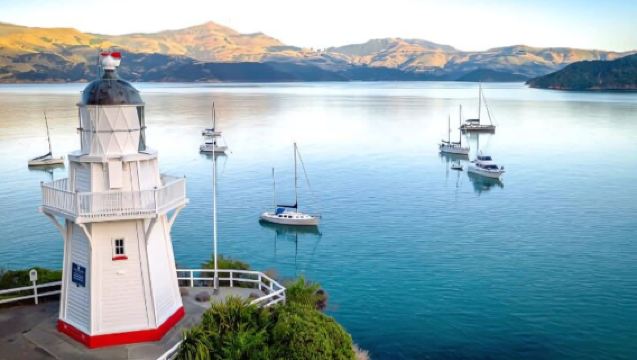New Zealand Christchurch pergi-balik: Akaroa + Pelayaran Lumba-lumba + Ladang Alpaka lawatan bebas sewaan peribadi dalam bahasa Cina