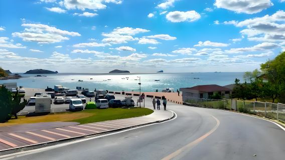 Lawatan Sehari di Dalian - Jalan-jalan Bandar, Nikmati Pemandangan Nanshan, Foto di Pantai Perak Tanpa Membeli-belah dengan Pengangkutan Pintu ke Pintu