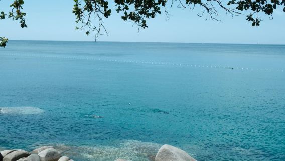Phuket, Thailand | Travel guide + exhibition interpretation + business accompaniment + market inspection + full guide service + custom private charter