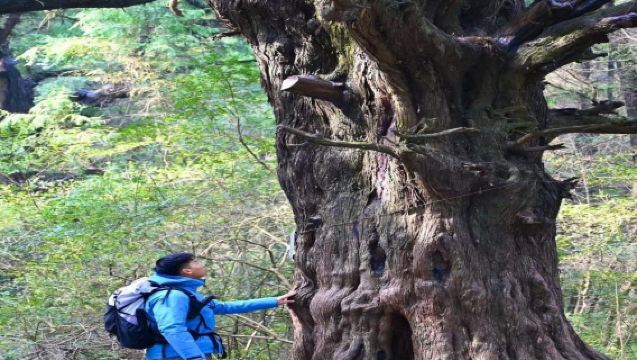 Jalan Purba Shu di Jianmen + Tembok Lanma + Guduopu + Chaoshuopu dan lain-lain lebuh raya purba